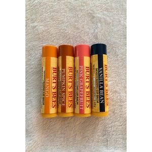 Burt’s Bees Chapstick Bundle- BRAND NEW